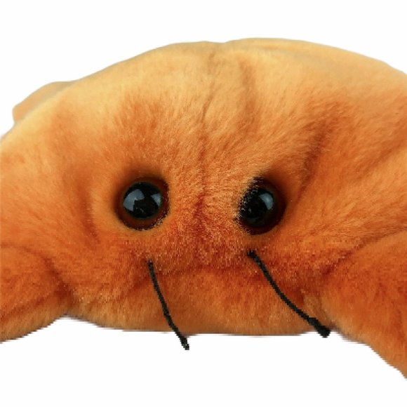 TY Beanie Baby Orange Crab with Tag "Digger."  12 - Picture 9 of 12